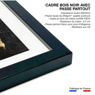 Affiche carte du monde dorée Affiche sous cadre noir