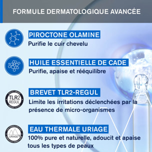 DS Hair - Lotion - Antipelliculaire Régulatrice 100 ml