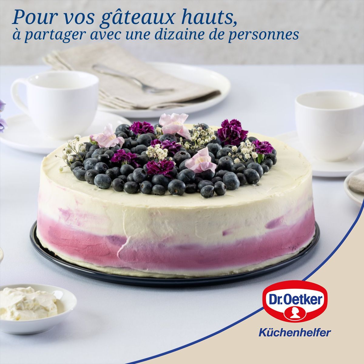 Moule à manqué à charnière Dr Oetker Back Liebe