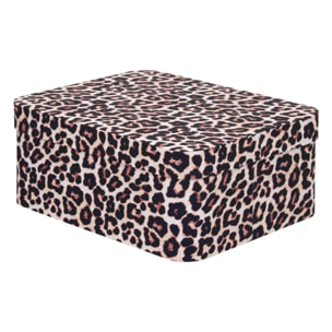 Lot de 4 boîtes Polybox