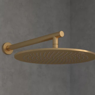 Douche de tête 350 Universal ronde Brushed Gold