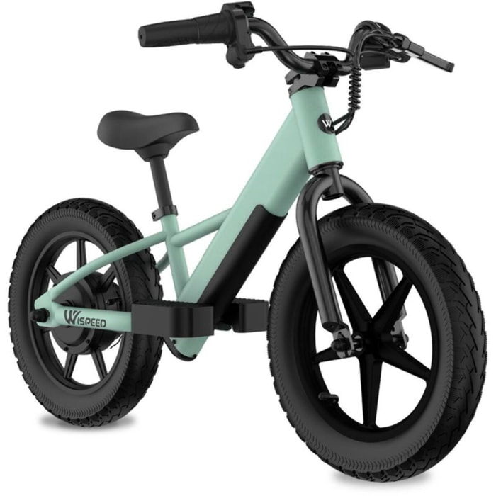 Draisienne enfant WISPEED WIKIDS Vert pastel 14' 100W