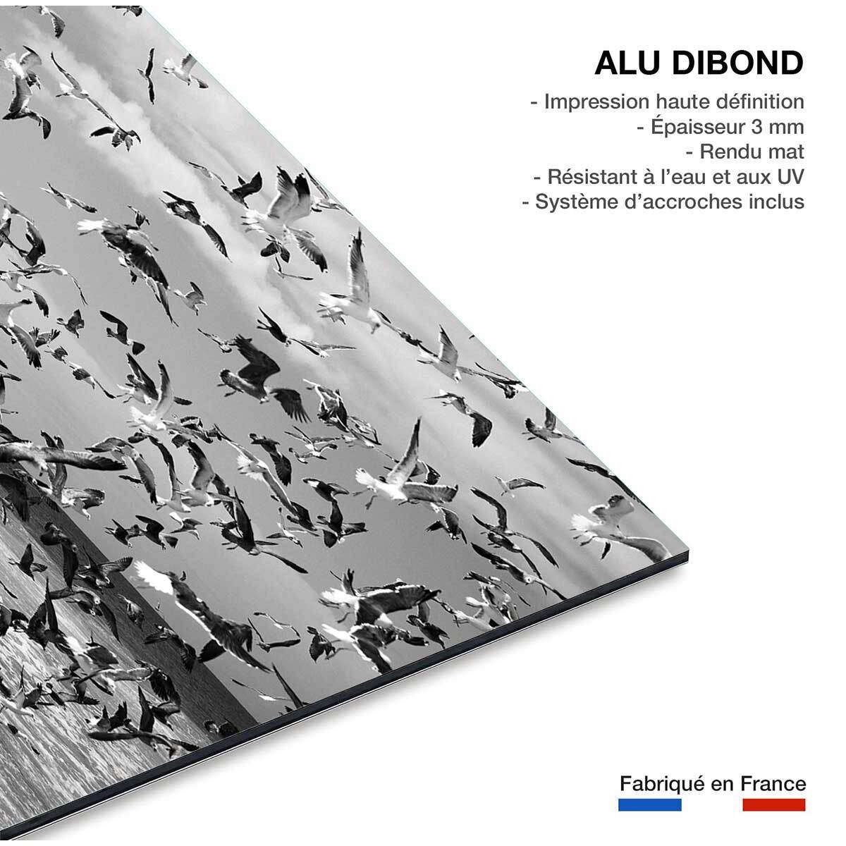 Tableau festin de mouettes Tableau alu Dibond