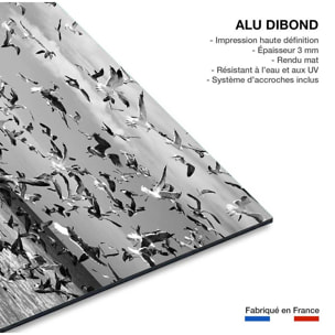 Tableau festin de mouettes Tableau alu Dibond