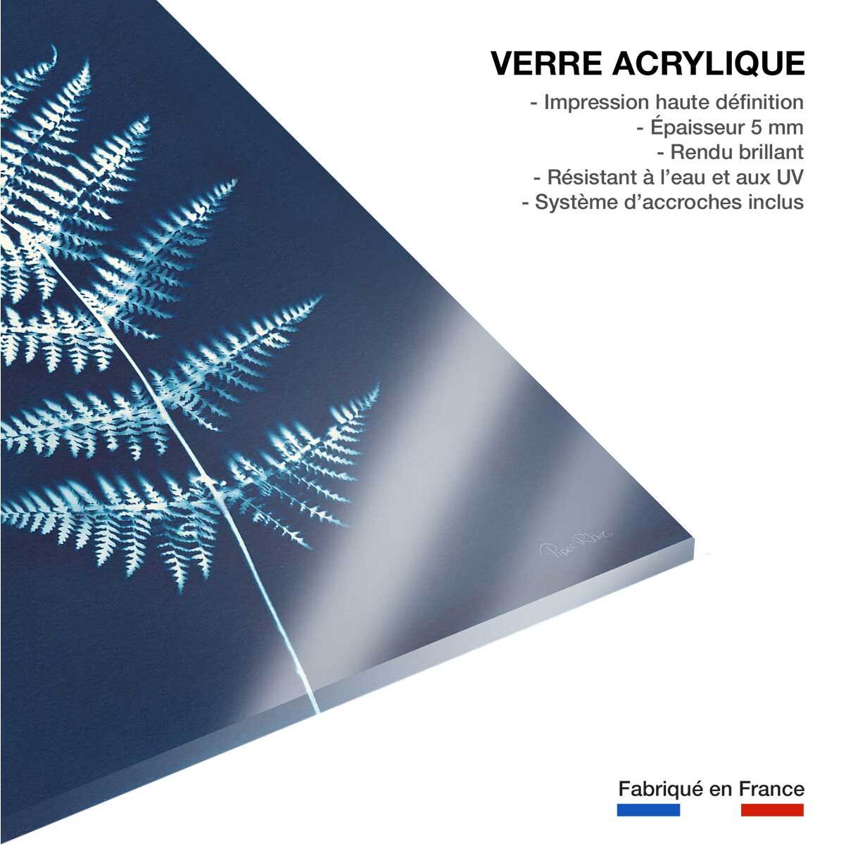 Tableau fleurs Duo fougères bleues Tableau plexiglas