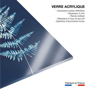 Tableau fleurs Duo fougères bleues Tableau plexiglas
