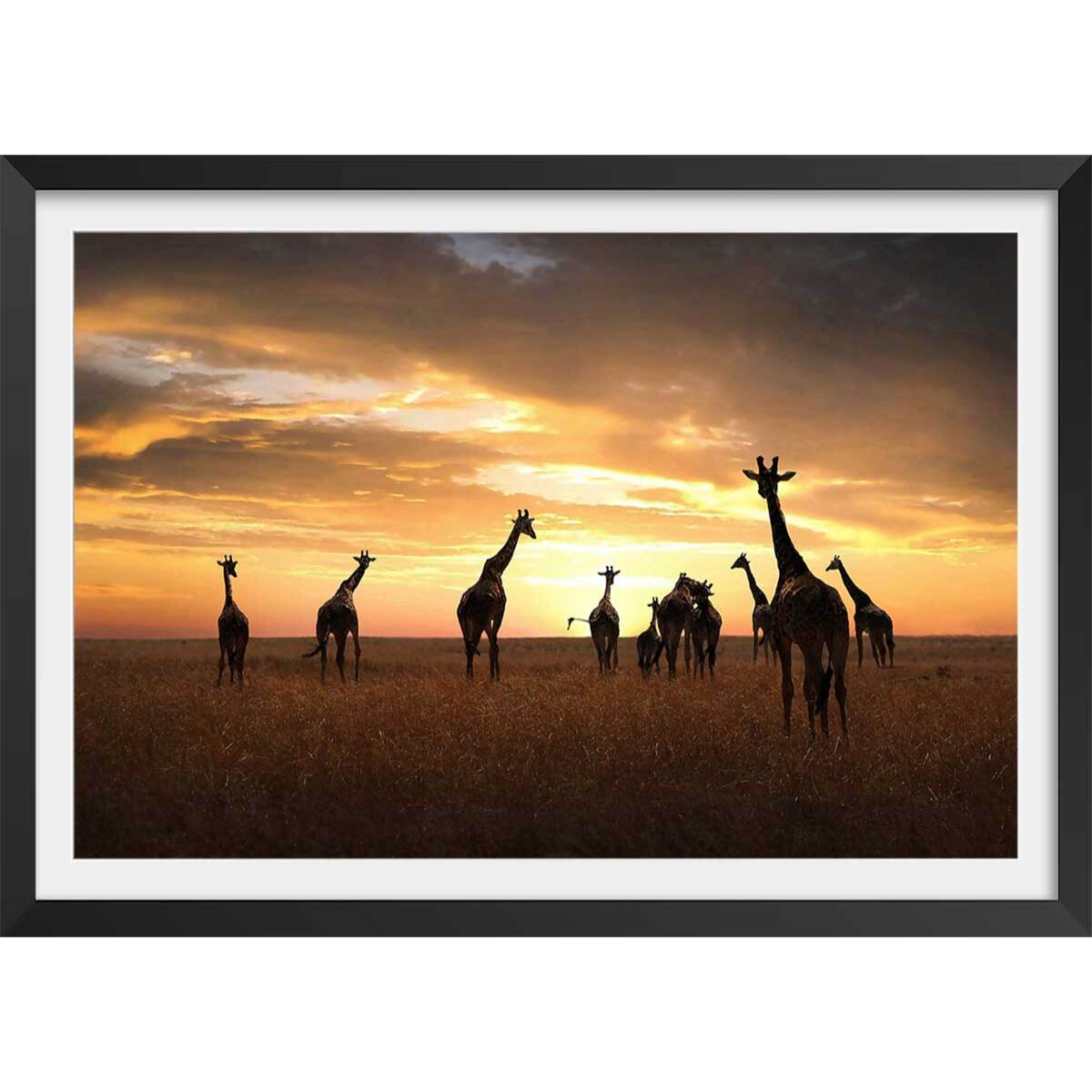 Affiche animaux girafes family Affiche + cadre en bois - Noir