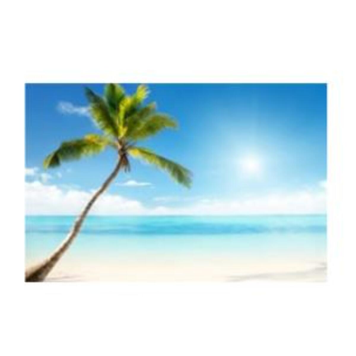 Quadro stampa con bluetooth mare e palma azzurro cm80x60x4