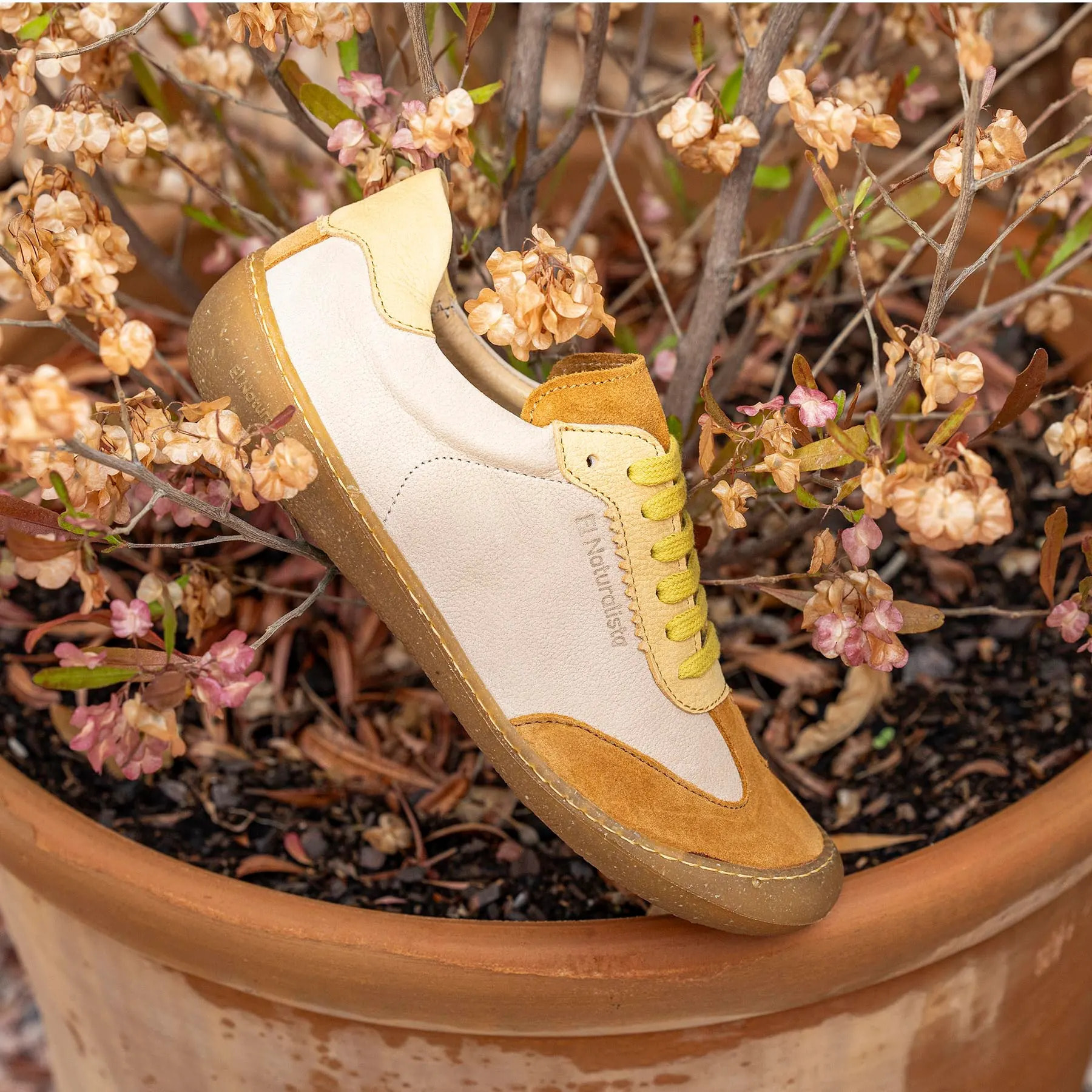 Zapatos N5766 MULTI LEATHER SELVA/PAWIKAN color Selva