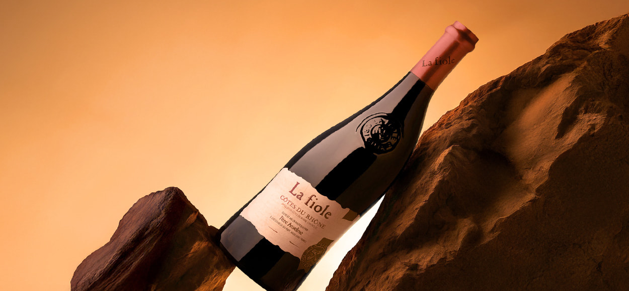 VIGNOBLES DE LA VALLEE DU RHONE pas cher chez VEEPEE