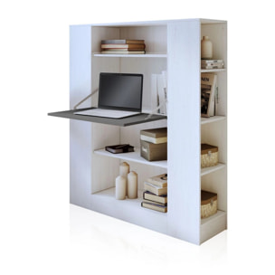 Estantería estudio Play Andersen Pino - Gris Grafito