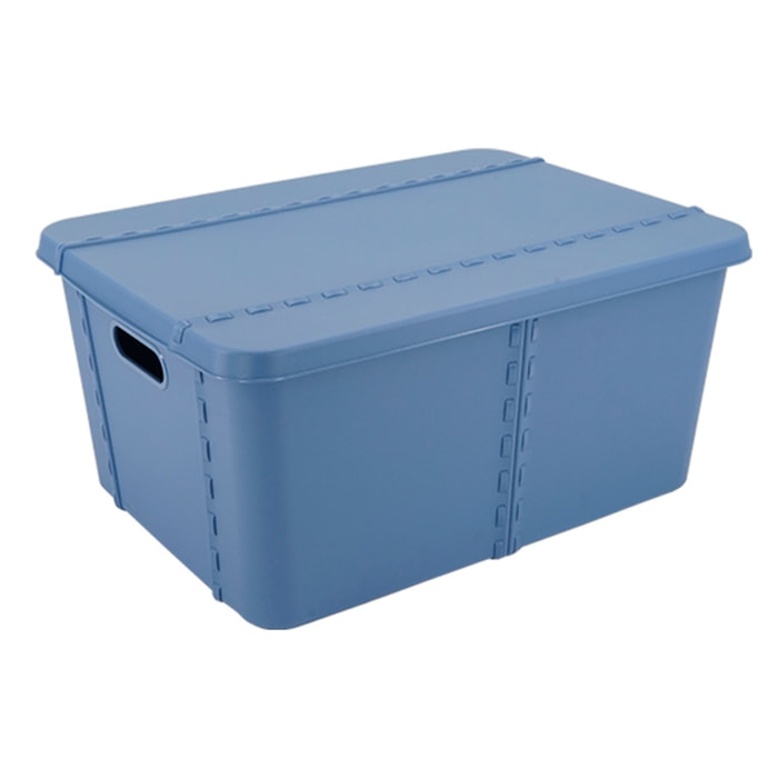 Caja de almacenaje con tapa azul