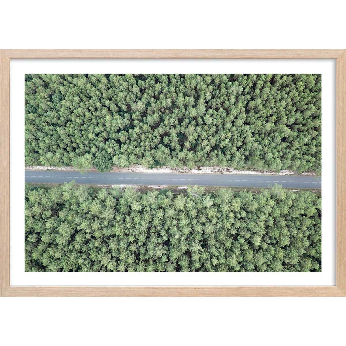 Affiche infinitude de la forêt landaise Affiche + cadre en bois - Chêne