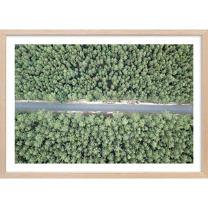 Affiche infinitude de la forêt landaise Affiche + cadre en bois - Chêne