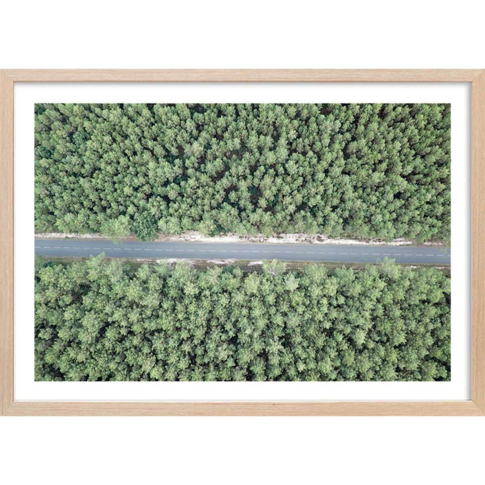 Affiche infinitude de la forêt landaise Affiche + cadre en bois - Chêne