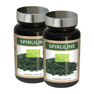 NUTRI EXPERT - Spiruline - Superaliment riche en spiruline et vitamine B6 - Complexe anti-fatigue, tonus et vitalité - Contribue à la résistance de l'organisme - Vegan - 60 Gélules végétales - Lot de 2