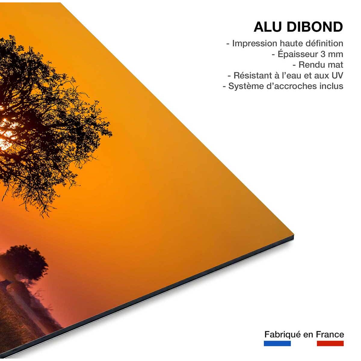 Tableau la savane Tableau alu Dibond