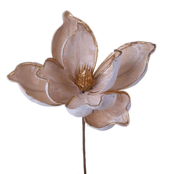 Pick magnolia - Pezzi 12 - BEIGE - Bianchi Dino SpA