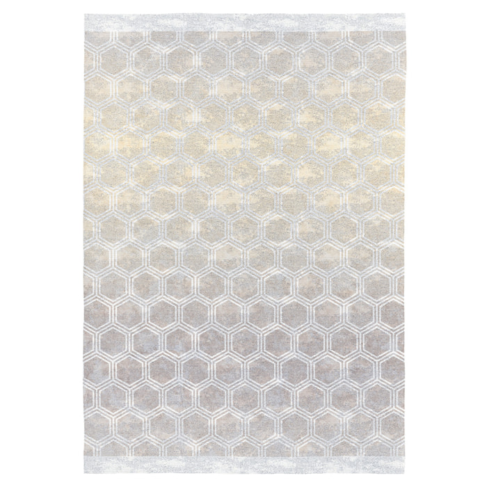 Tapis de salon RIGA plusieurs tailles