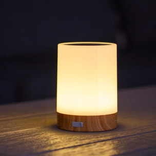 2 Lampe de table solaire DUOLIGHT H13CM