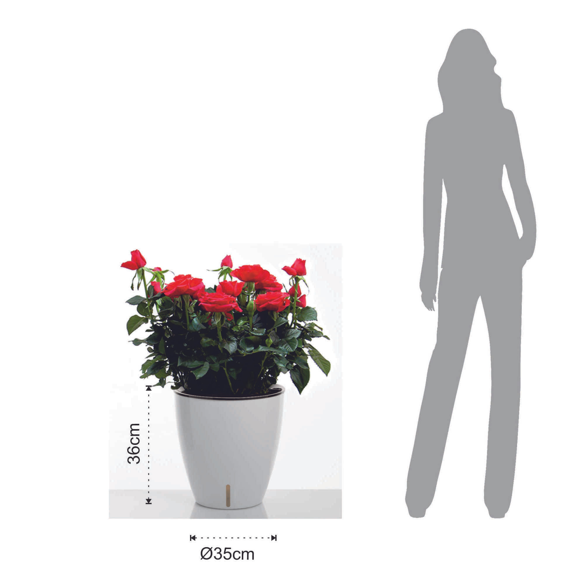 Pot de fleurs à réserve d’eau Tomasucci TULIP, en polypropylène, blanc, 30 × 30 × 23 cm