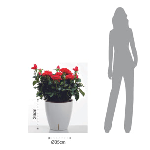 Pot de fleurs à réserve d’eau Tomasucci TULIP, en polypropylène, blanc, 30 × 30 × 23 cm
