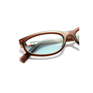 Gafas De Sol D. Franklin Lewk Brown / Blue