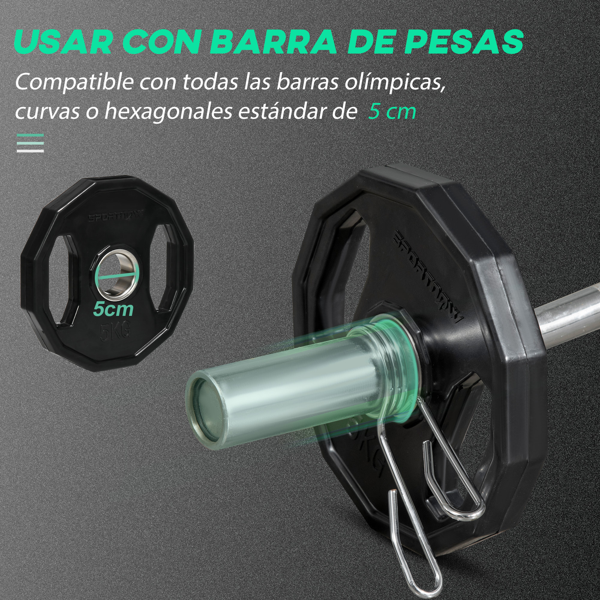 Juego de 2 Discos de Pesas Olímpicas 5 kg Hierro Fundido Placas de Pesas con Orificio de 5 cm para Entrenamiento Fitness en Gimnasio Casa Negro