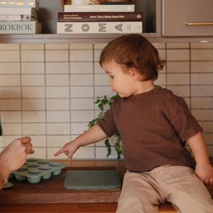 Mushie Bandeja Cubitera Alimentos Solid