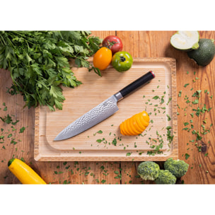 Couteau de Chef Gyuto | Lame 200 mm | Acier Inoxydable | Lame Japonaise 440C