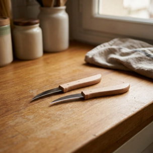 Lot de 2 couteaux de cuisine éplucheur manche en bois 16 cm Nirosta