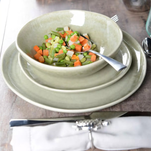 Lot de 6 ASSIETTE PLATE VERTE 27.2CM