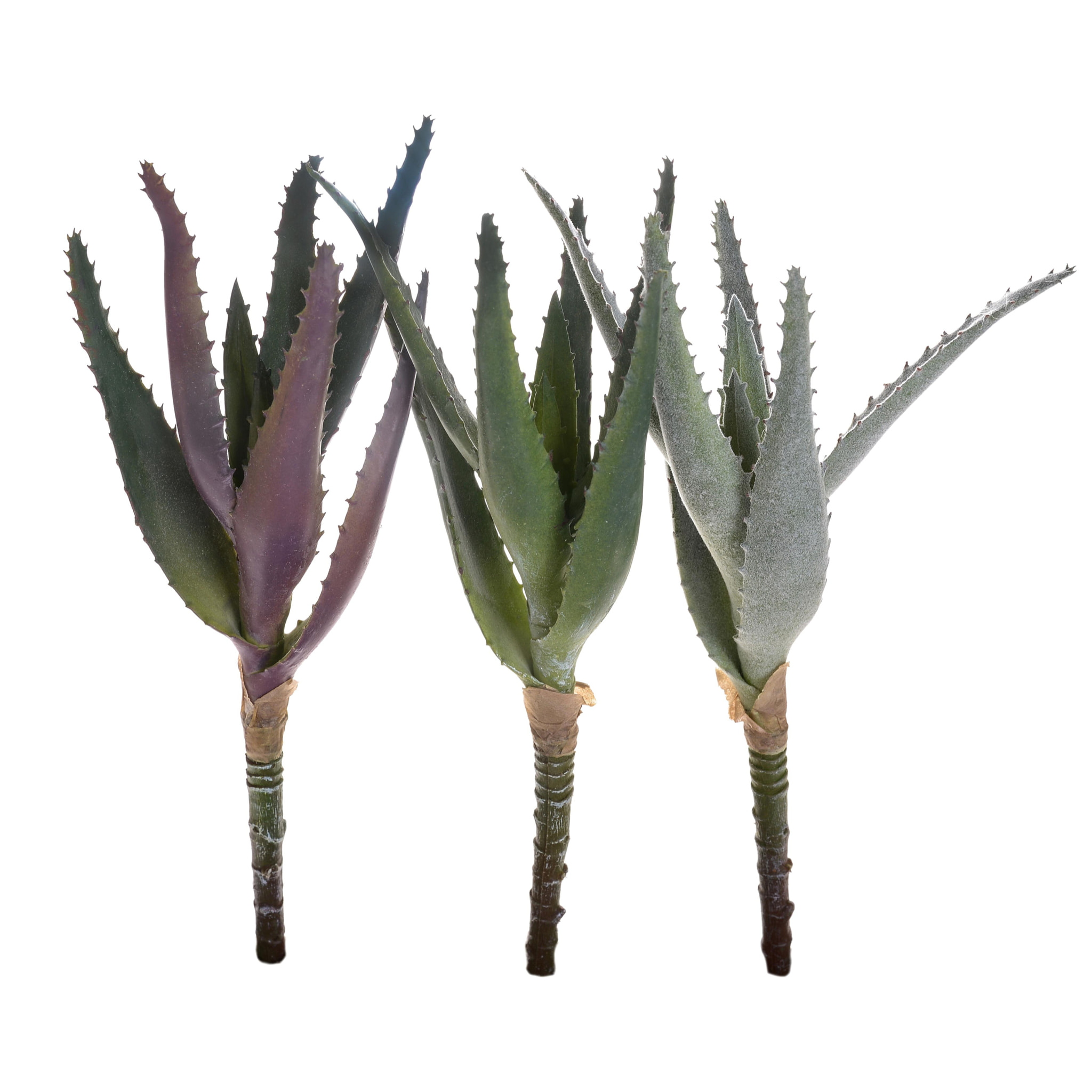 Mini Aloe. Altezza 22 Cm - Pezzi 6 - 6X22X6cm - Colore: Multicolore - Bianchi Dino - Piante Artificiali