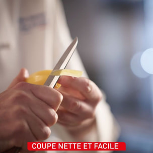 Couteau japonais TEFAL Santoku 16.5cm Collection Paul Bocuse