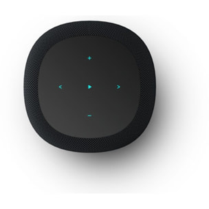 Enceinte Multiroom WIIM Sound Black with display