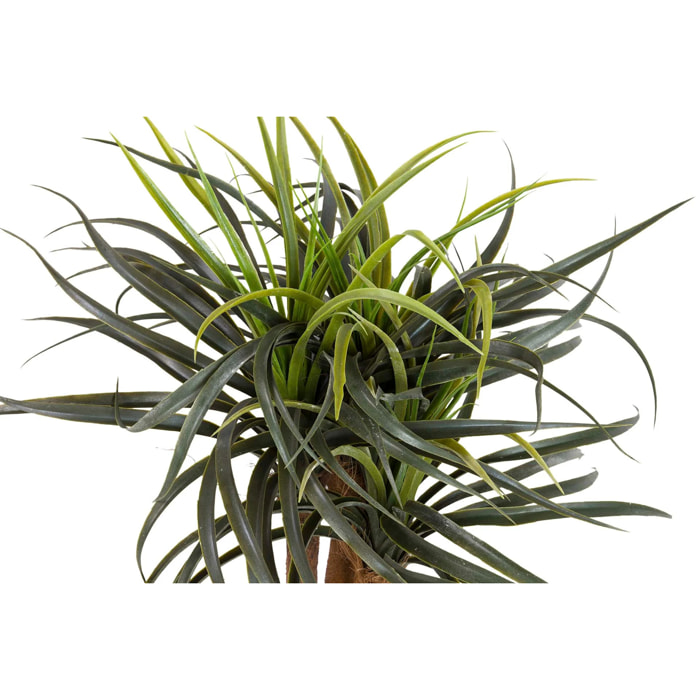 Planta Artificial Yucca Con Maceta 58x58x58 Cm