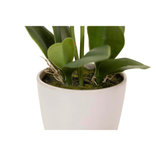 Orquidea Poliester Blanca Con Maceta 20x20x36 Cm