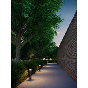 LEDS C4 Baliza Ip66 Dan Led 8.9.,W Sw 3000-4000K On-Off Gris Urbano 439Lm