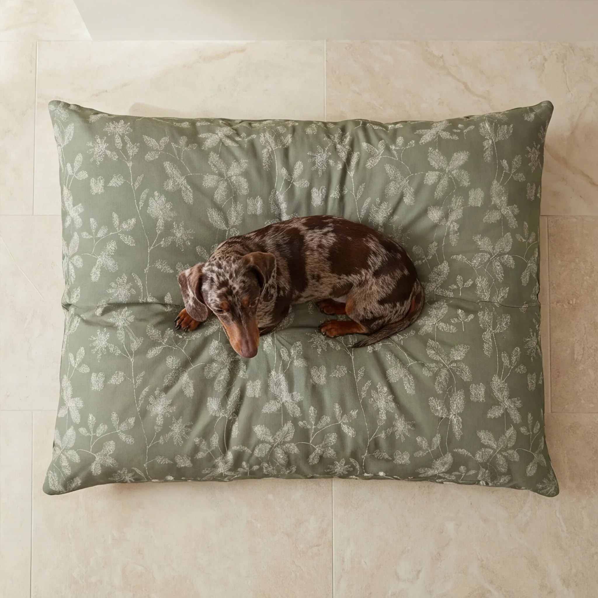 Housse antitaches pour lit pour animal Bolbaite