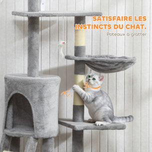 Arbre à chat multi-équipement griffoirs plateformes niche échelle hamac jouets gris