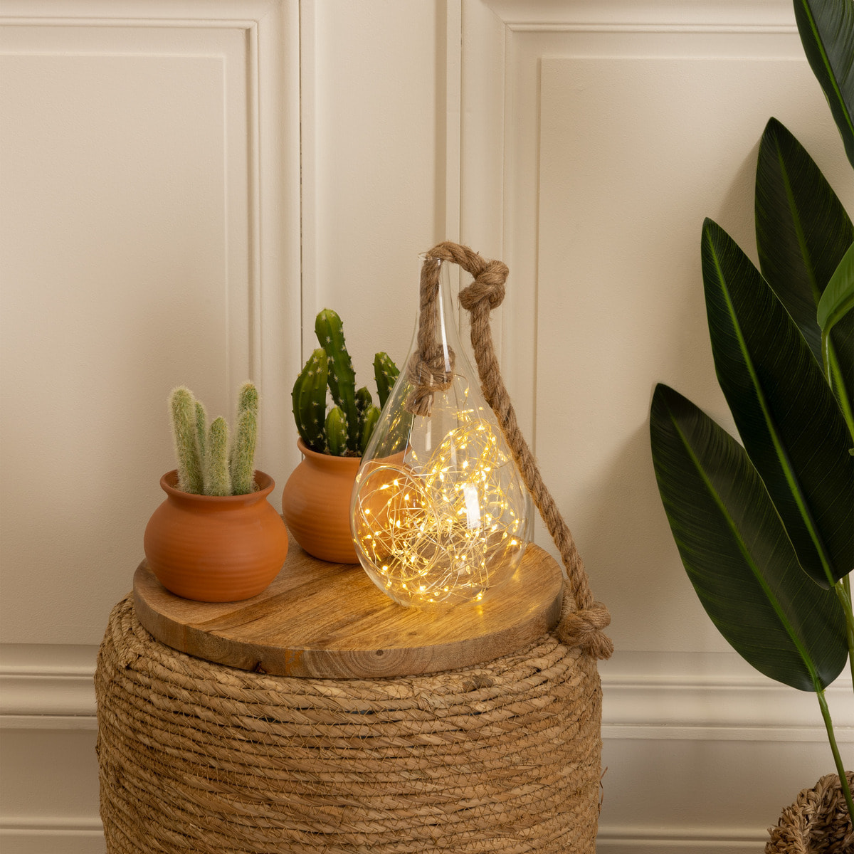 Guirlandes - 100 micro LED - argent et blanc chaud - L1000 cm