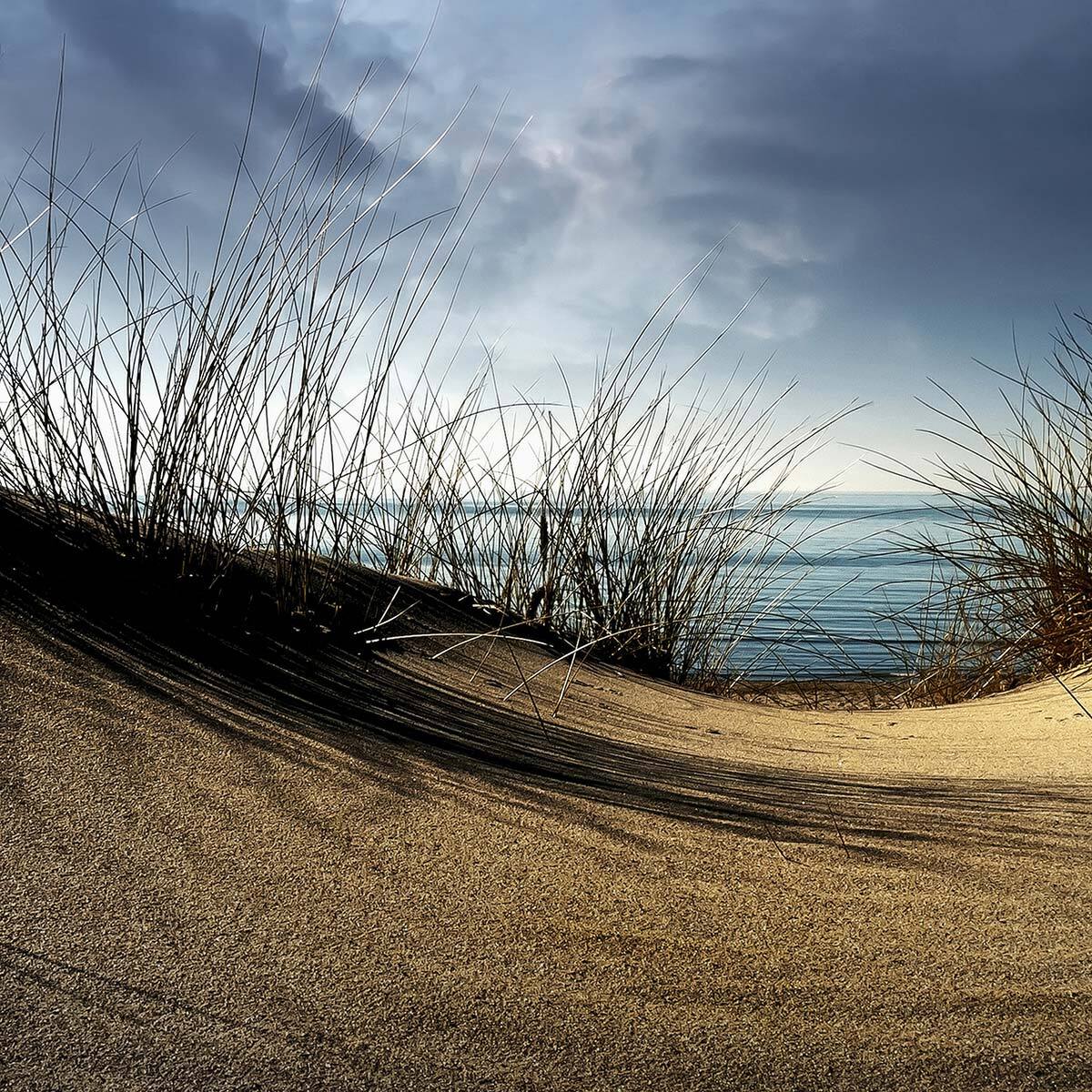 Papier peint panoramique en haut de la dune Intissé