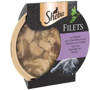 SHEBA Filets au poulet, crevettes & poissons de l'océan pour chat 16 dômes 60g