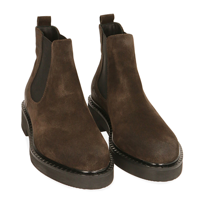 Chelsea boots testa di moro in camoscio