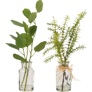 J-Line plante Eucalyptus/Branches dasn vase - verre - transparent/plastique - vert - 2 pcs