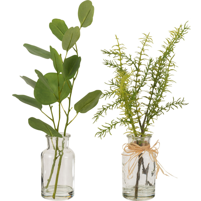 J-Line plante Eucalyptus/Branches dasn vase - verre - transparent/plastique - vert - 2 pcs