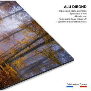 Tableau Chemin d'automne Tableau alu Dibond