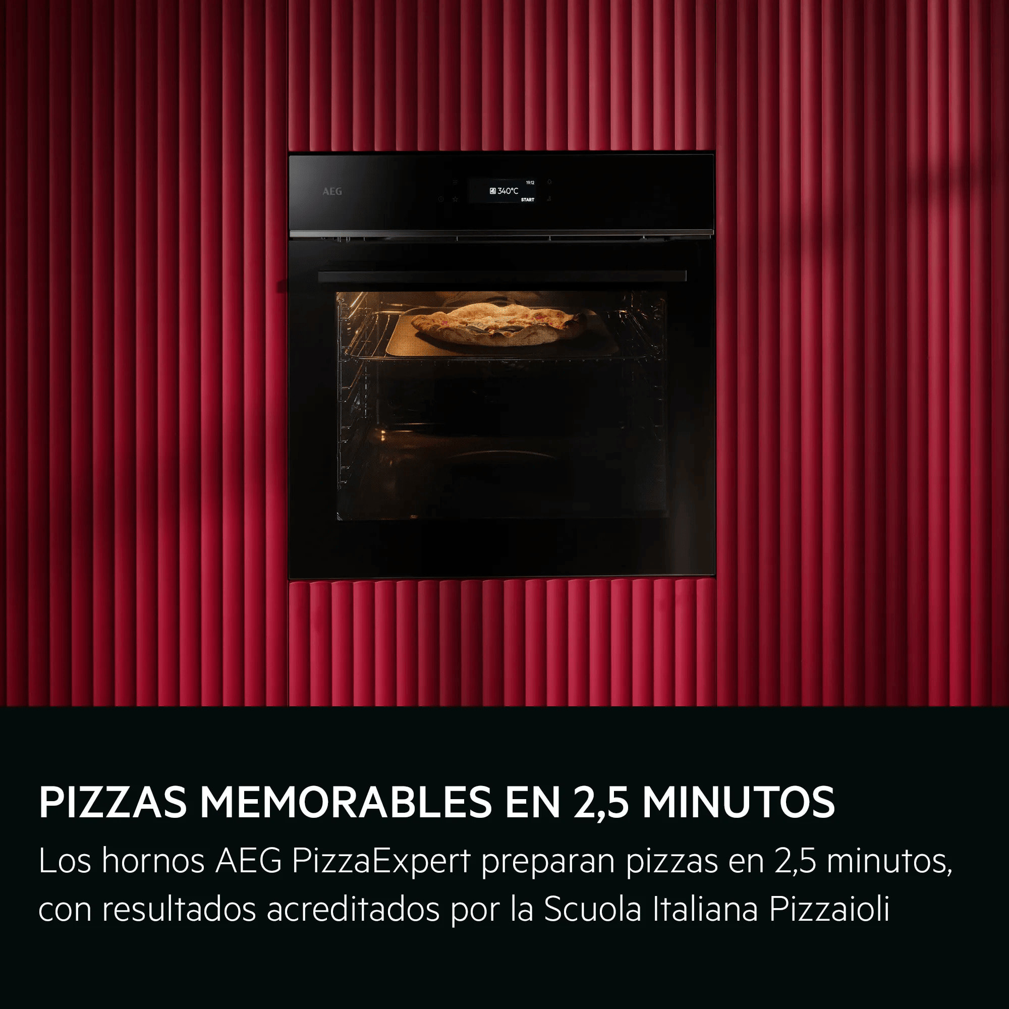 AEG Horno multifunción Serie 7000 MealAssist con PizzaExpert con Display táctil Excite TX7PB631SB