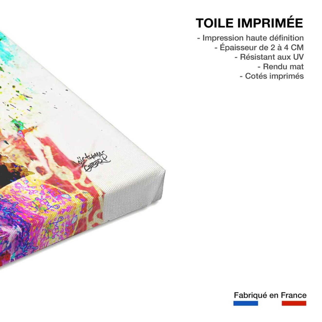 Tableau balboa street art  Toile imprimée