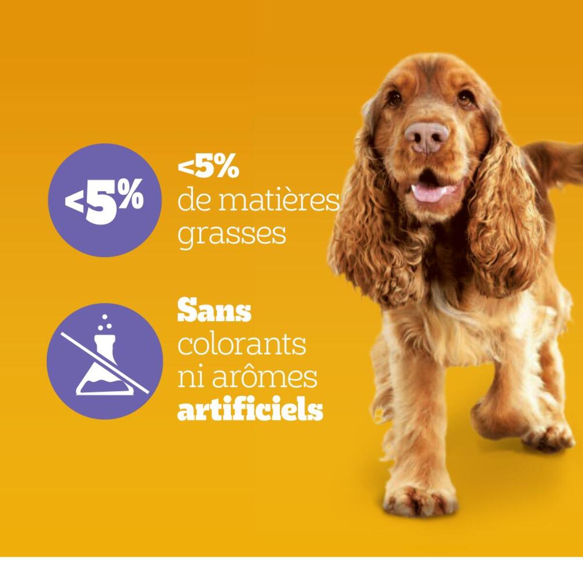 PEDIGREE Aliments Complémentaires Digestion pour chien 2x180g